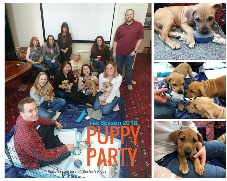 Puppy Party!